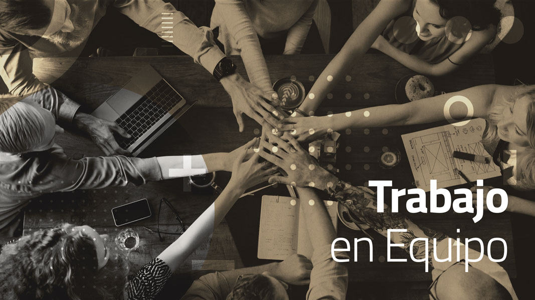 Trabajo en equipo